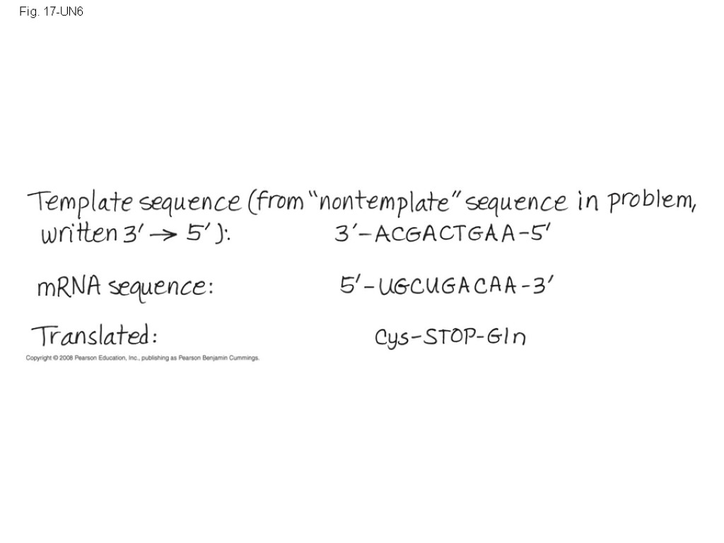 Fig. 17-UN6